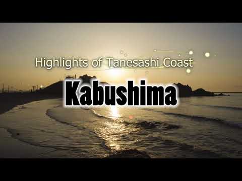 Michinoku Coastal Trail "Kabushima"