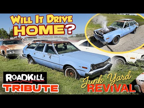 ABANDONED 31 years. Will it run and drive 3 hours home?! 1974 AMC Hornet.