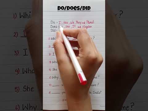 Do/Does/Did English Rules 💯👩‍🏫✅️