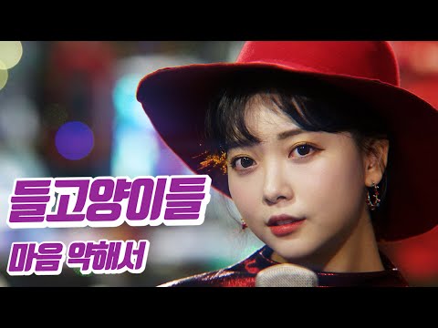 요요미 - 마음 약해서 (들고양이들) Cover by YOYOMI