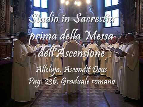 IN  ASCENSIONE  DOMINI, Canto Gregoriano, studio della Schola Gregoriana Mediolanensis diretta da Giovanni Vianini, Milano, Italia