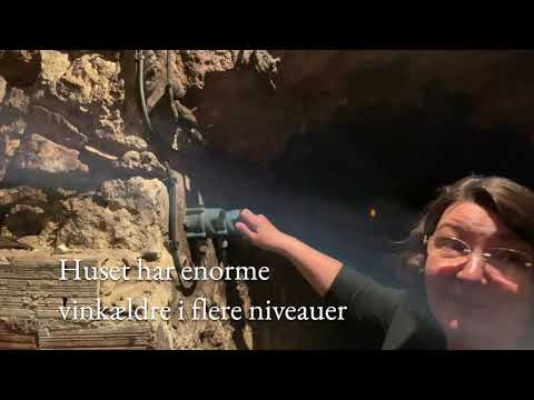 Besøg Champagne Ployez-Jacquemart, Lude Premier Cru