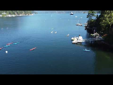 Frog clan painting group video.