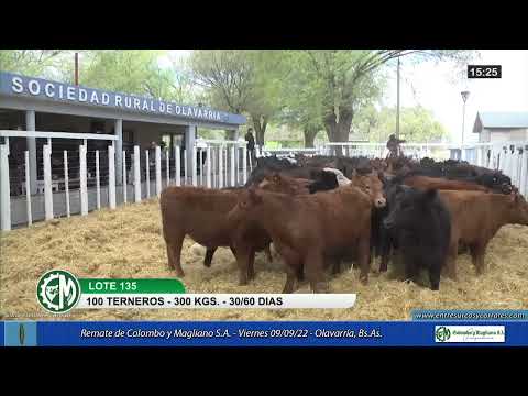 09-09-22 - Remate de Colombo y Magliano S.A.  en Olavarría, Bs.As.