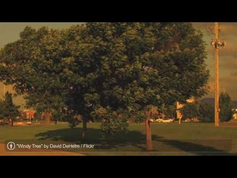 How to Talk about the Weather | English Lessons