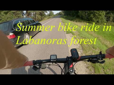 Summer bike ride in Labanoras forest, Lithuania /2021.08.16/ MTB