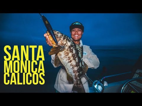 , title : 'Calico Bass Fishing in Santa Monica Bay'