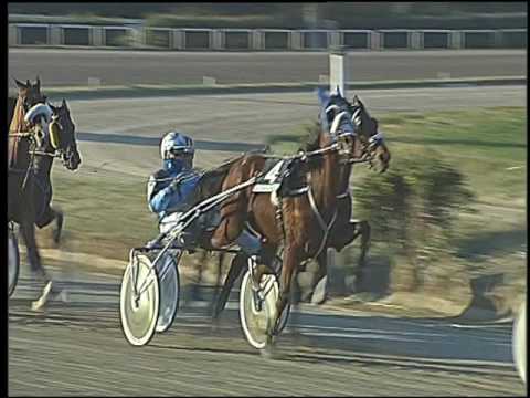 Trotto 23/12/2016 - 1ª corsa