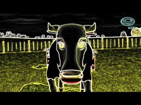 El animal que camina en el granero Video y clips extraños que debe ver