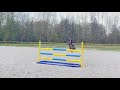 Ruin Franse rijpony PFS Te koop 2019 Vos ,  Mon Nantano de florys