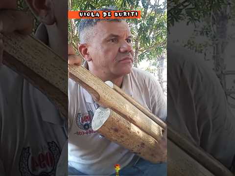 Viola de Buriti - Instrumento musical - Jalapão Tocantins