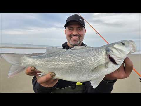 300 MILES LATER..! CHUNKY BASS AT PRESTATYN BEACH - NORTH WALES | SEA FISHING UK | HINTS & TIPS