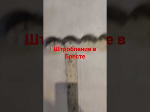 фото услуги электрика в бресте 0