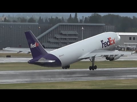 Fedex 10016