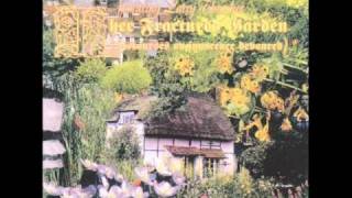 Genesis P  Orridge and Splitter Test - Cortex Ov Light