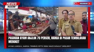 Stok Ayam Tinggal 30 Persen, Harga Di Tembilahan Tembus Rp70 Ribu