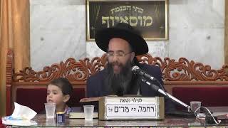 זרע שמשון - פרשת אמור - הרב יוסף חיים אוהב ציון