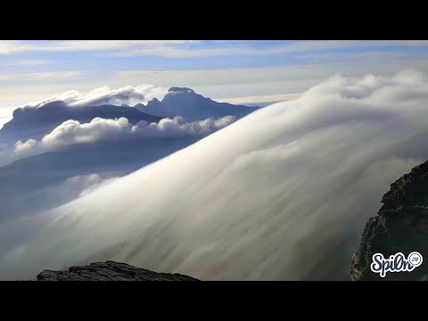 Le Zap De Spi0n n°318 | Zap2Spi0n | Zap Koreus 2021