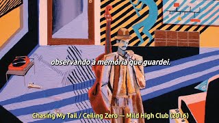 Chasing My Tail - Mild High Club (tradução)