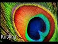 Shri Krishna Fluet Music WhatsApp Status Mahabharat