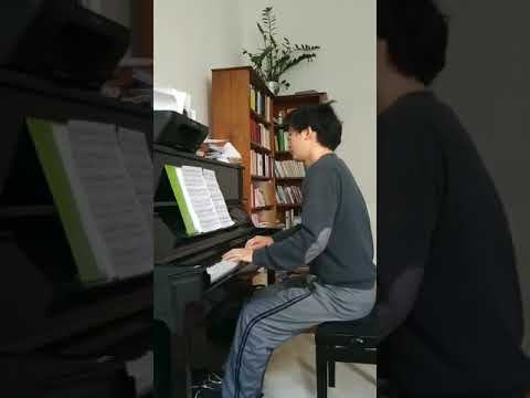 Goldberg by 32 pianists - Variation 2 by Carl Rude Zhang