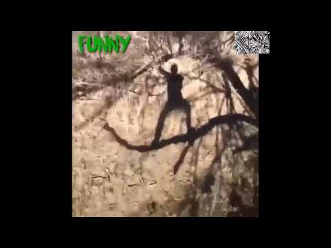 Funny guy falling off a tree branch while singing!