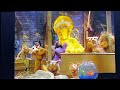 Closing To Sesame Street Sing Hoot And Howl 2004 DVD