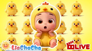 Download lagu 🔴Baby and the Little Chicks | Learn Numbers 1 to 5 | Nursery Rhymes & Kids Songs | LiaChaCha mp3