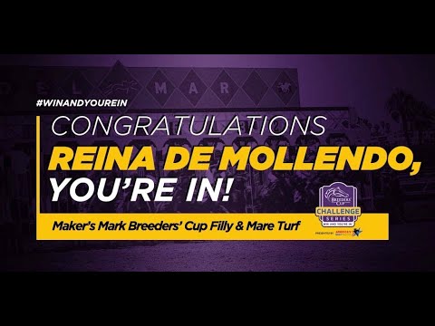 2021 Gran Premio Pamplona - Reina De Mollendo