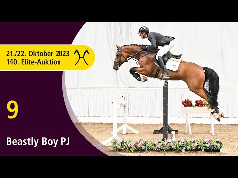 140th Elite-Auction - Oct. 21/22 - No. 9 Beastly Boy PJ by Balou du Rouet - Cassus
