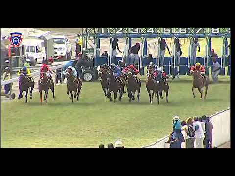 RM34 R4 | Inauguration | J.Bardottier