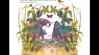 [dunkelbunt] - Cinnamon Girl (Roskilde Edit)