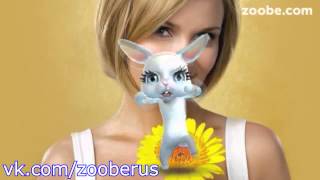 Про говешки и про жизнь - Zoobe Зайка :)