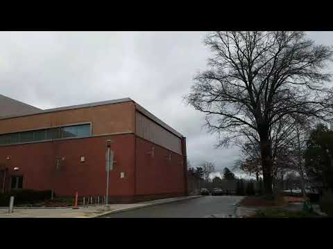 City of Newton would cut 36" oak for roof solar panels