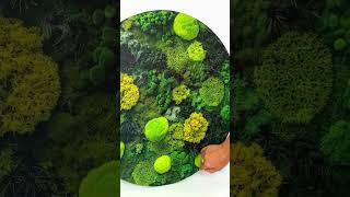 Wooden Wall Art - Mosses