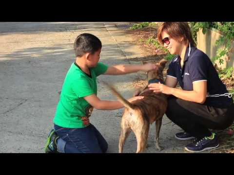 Samiya meeting a child