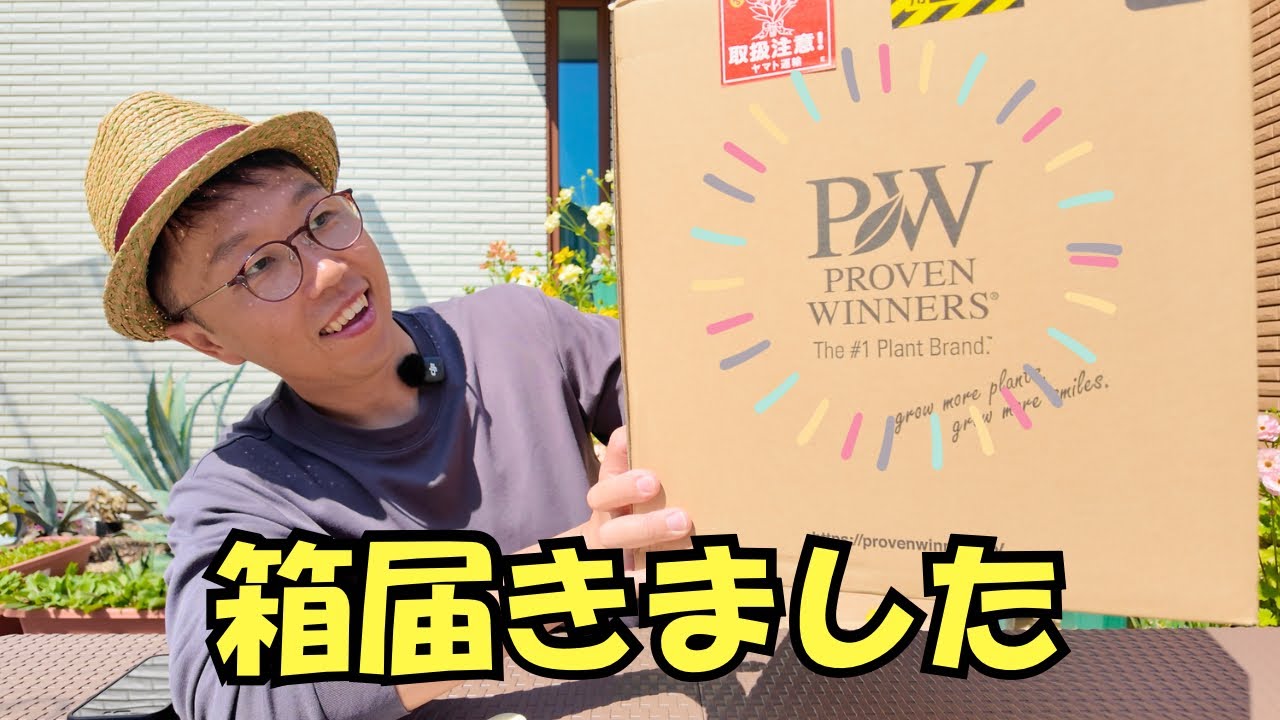 PWから巨大な箱が届いた。中には注目の『あの苗』が…！？