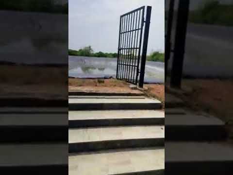 Mango Farm House Sale Shadnagar 7 acres with Borewell:Rs.95 Lacks Per Acre:50 km from ORR:9494924356