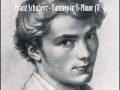 Franz Schubert - Fantasy in G-Minor (D. 9)