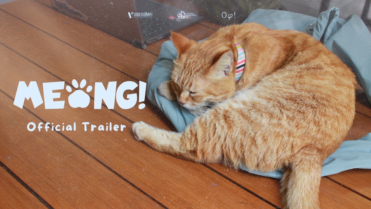 Trailer thumbnail