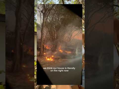 Dry season in 🇨🇷: nightmare fuel for today thankfully no one/animals were harmed.