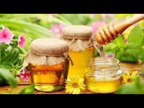 What Does Honey Dream Means? -- Interpretations Of Dreams