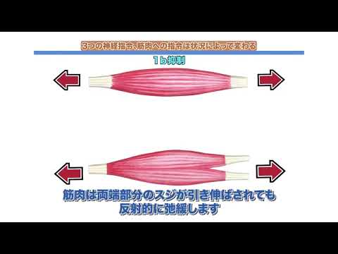 ビゴレキシア：それは何なのか、原因、症状、治療法