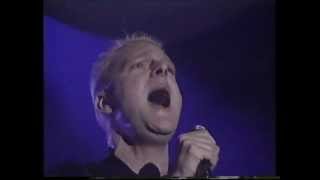 Erasure Star - Big World