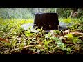 Bruno Giacomazzi - Pray for Rain (Official Music Video)