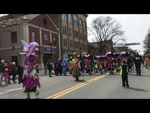 Woodland String band in Stroudsburg