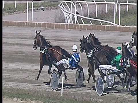 Trotto 26/03/2017 - 1ª corsa