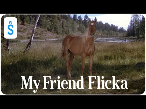 My Friend Flicka (1943) | Scene: Flicka is badly cut by barbed wire