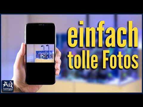 Film Jak zrobić zdjęcie akwarium telefonem komórkowym