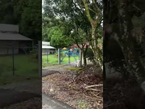 actividad número 2